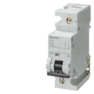 [5SP41917] CIRCUIT BREAKER 10KA 1P C100 15MW